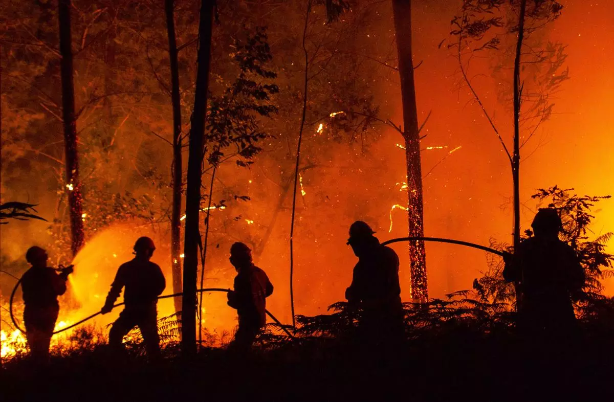 Detección de incendios forestales